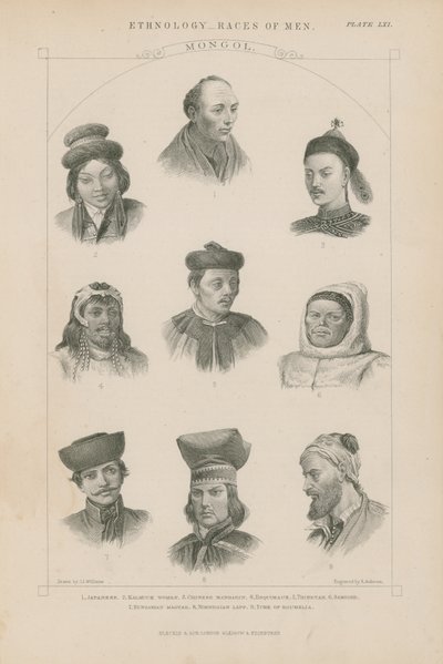 Nio ansikten av olika mongoliska raser av J.L. Williams