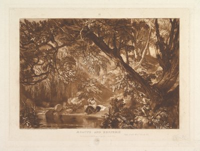Aesacus and Hesperia, Video Ovid Metamorphoses, Bok XI Liber Studiorum, del X..., 1 januari 1819. av Joseph Mallord William Turner