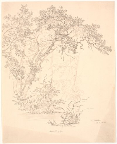 Träd av J.P. Møller