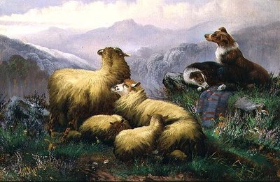 Fårhundar och får i det skotska höglandet av J.W. Morris
