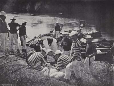 Swan upping på Themsen, Nicking eller Marking av J. Benjamin Stone