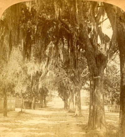 Inträde till St. Augustine, Florida, U.S.A., 1901. av J. F. Jarvis