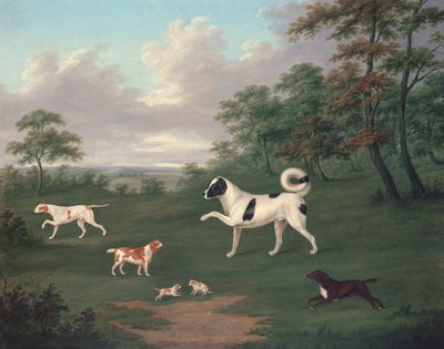 Sportande hundar i ett landskap av J. Francis Sartorius