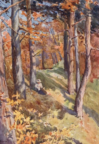 I Sauvabelin-skogen, ovanför Lausanne (färglitografi) av J. Hardwicke Lewis