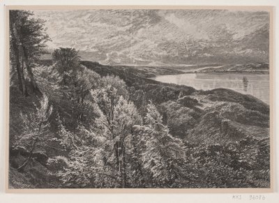 Utsikt från Munkebjerg över Vejle fjord av J. Hildebrand