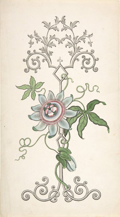 Design för paneldekoration centrerad på en passionsblomma, 1828-40. av J Hulme