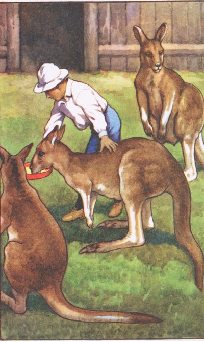 Australisk pojke, från MacMillan skolaffischer, ca 1950-60-tal (lito i färg) av J. Macfarlane