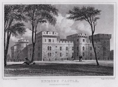 Enmore Castle, Somersetshire (gravyr) av John Preston Neale