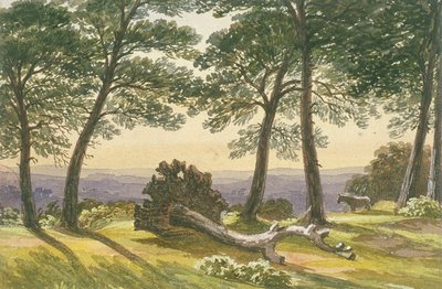 Hampstead Heath, London, c1830 av J Powell