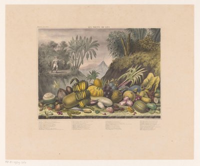 Javanesiska frukter Les fruits de Java (titel på objekt) av J. Schnell