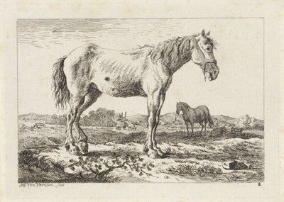 Stående häst i ett landskap Sex tryck efter ritningar av olika mästare (serietitel) av Jacob Elias van Varelen