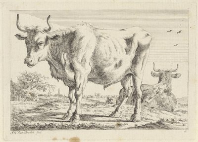 Stående och liggande oxe Sex tryck efter ritningar av olika mästare (serietitel) av Jacob Elias van Varelen