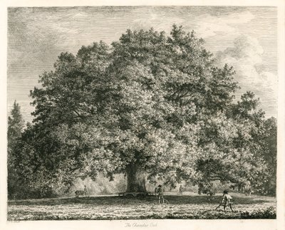 The Chandos Oak, Michendon House, Southgate, London av Jacob George Strutt