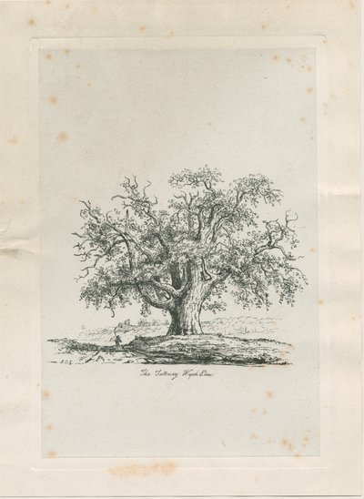 Tutbury - "Wych Elm": gravyr, nd [c 1820] av Jacob George Strutt