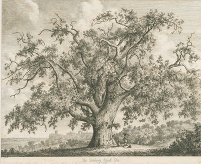 Tutbury - "Wych Elm": etsning, nd [c 1820] av Jacob George Strutt