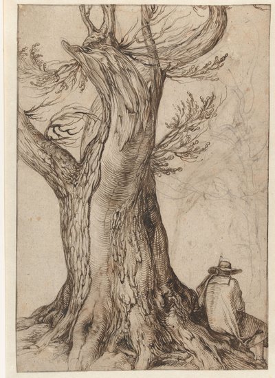 Studie av en trädstam av Jacob II de Gheyn