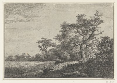 Majsfältet av Jacob van Ruisdael