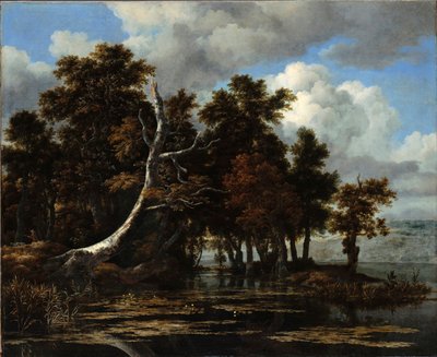 ""Ekar vid en sjö med näckrosor" Målning av Jacob Isaacksz van Ruisdael (1628/29-1682) Olja på duk Dim 116,6x142 cm Staatliche Museen, Berlin av Jacob van Ruisdael