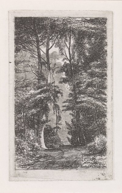 Boslaan av Jacob Jan van der Maaten