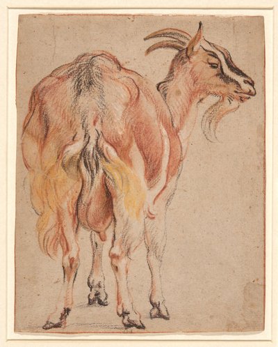 Get, ca 1657 (krita & tvätt förhöjd med vitt) av Jacob Jordaens