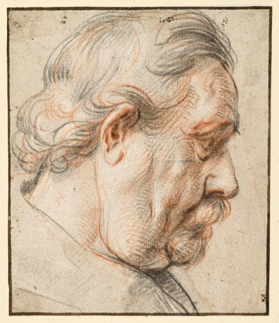 Huvud av en man i profil åt höger av Jacob Jordaens