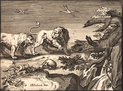 Två lejon i naturen av Jacob Matham