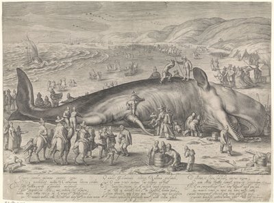 Val strandade vid Berckhey, 1598 av Jacob Matham