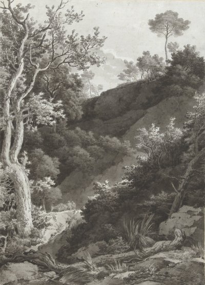 Skogbevuxen bergssida av Jacob Philipp Hackert