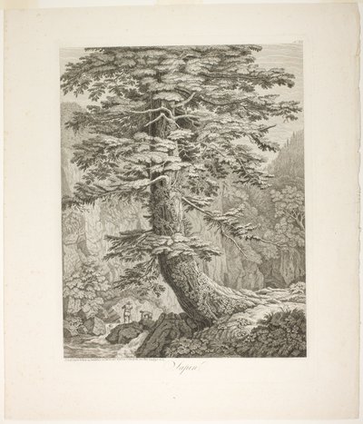Gran av Jacob Philipp Hackert