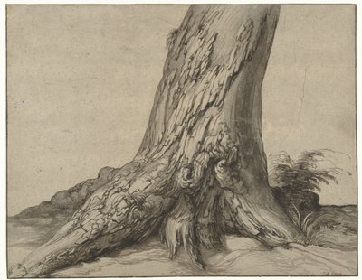 Studie av en trädstam med rötter Studie av stammen på ett träd med rötter av Jacob de Gheyn (II)