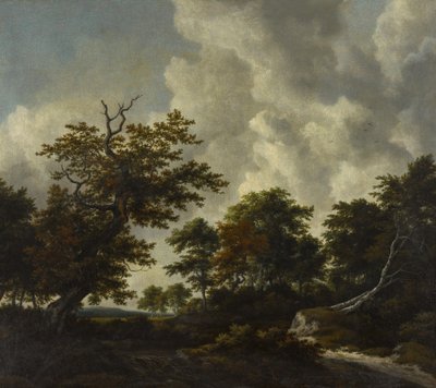 Boskélandskap med en stor ek och två fallna bokar vid ett vattenfall av Jacob van Ruisdael