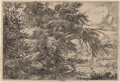 Stuga på en kulle av Jacob van Ruisdael