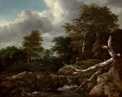 Skogsscen, ca. 1655. av Jacob van Ruisdael