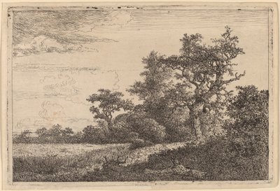 Spannmålsfält vid kanten av ett trä (Majsfält) av Jacob van Ruisdael