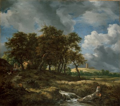 Landskap nära Muiderberg, tidigt 1650-tal av Jacob van Ruisdael