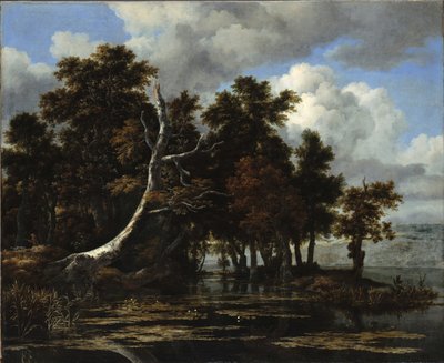  av Jacob van Ruisdael