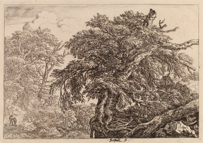  av Jacob van Ruisdael