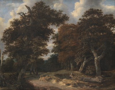 Väg genom en ekskog av Jacob van Ruisdael