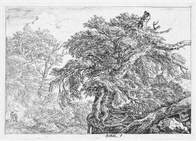  av Jacob van Ruisdael
