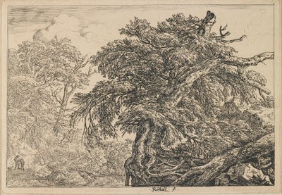  av Jacob van Ruisdael