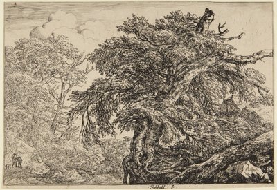  av Jacob van Ruisdael