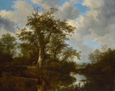 Trädbevuxet landskap med boskap som korsar en bäck av Jacob van Ruisdael