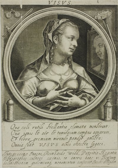 Syn, plansch ett från De fem sinnena av Jacob van der Heyden