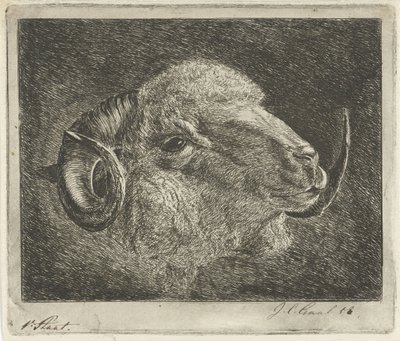 Huvudet på en bagge med bakåtvända horn av Jacobus Cornelis Gaal (signed by artist)