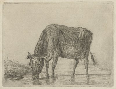 swedish av Jacobus Cornelis Gaal