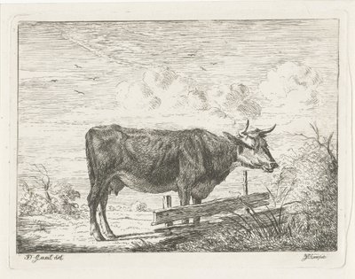 Ko som står vid ett staket av Jacobus Cornelis Gaal