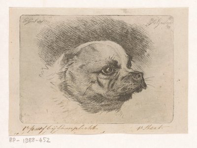 Mopshuvud av Jacobus Cornelis Gaal