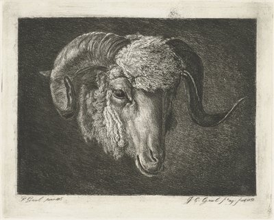 Huvudet på en bagge med krokiga horn av Jacobus Cornelis Gaal