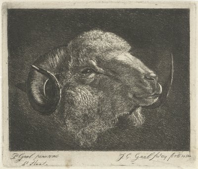 Huvudet på en bagge med bakåtvända horn av Jacobus Cornelis Gaal