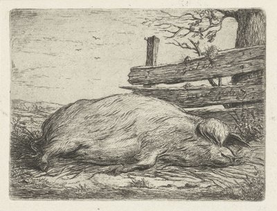Liggande vildsvin av Jacobus Cornelis Gaal